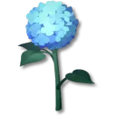 파란 수국