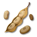 콩