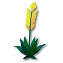 화살꽃